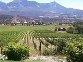 Zero to Sixty: How Colorado's Wines Became World-Class in Less Than a Decade
